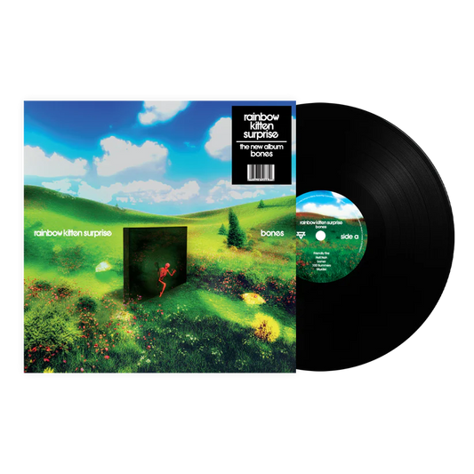 Rainbow Kitten Surprise Bones vinyl